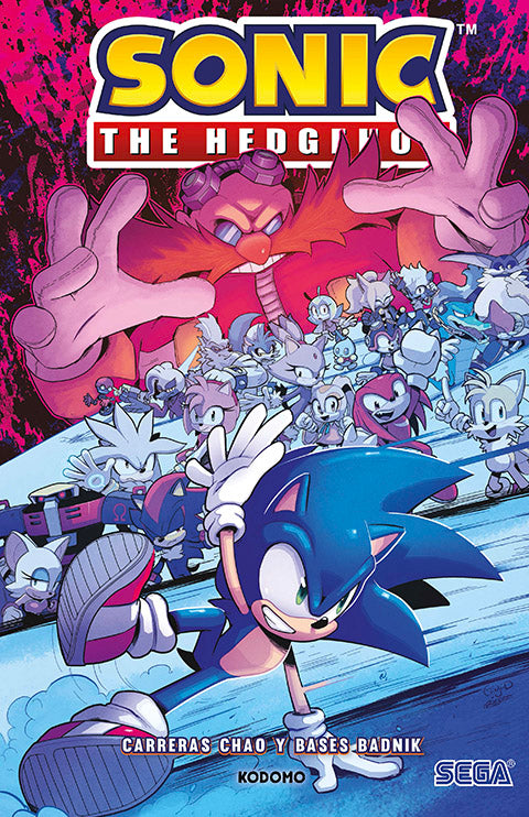 Sonic The Hedgehog: Carreras Chao y bases badnik